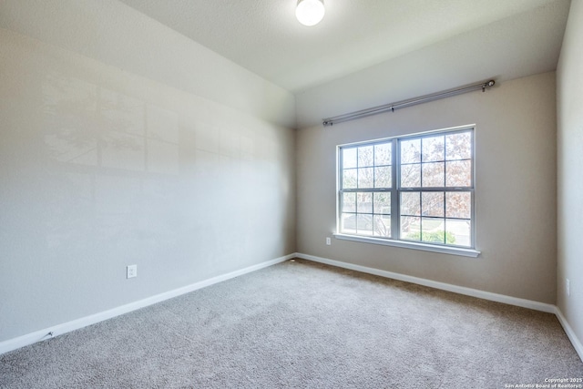 spare room featuring carpet floors