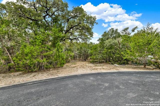 Listing photo 2 for 116 Single Tree Ct, Canyon Lake TX 78133