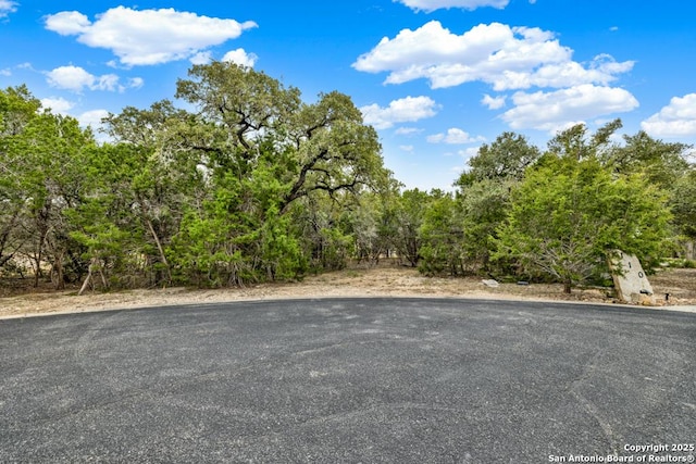 Listing photo 3 for 116 Single Tree Ct, Canyon Lake TX 78133