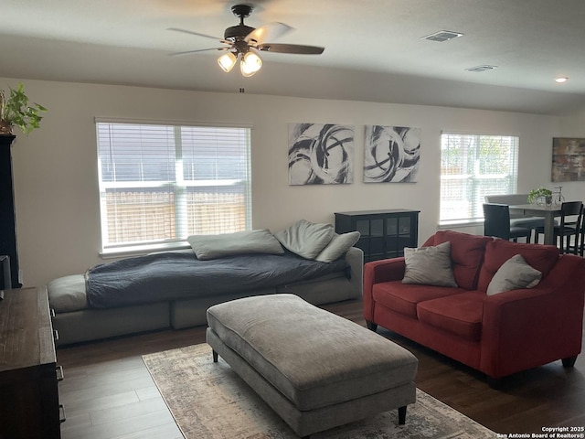 living room with ceiling fan and dark hardwood / wood-style flooring