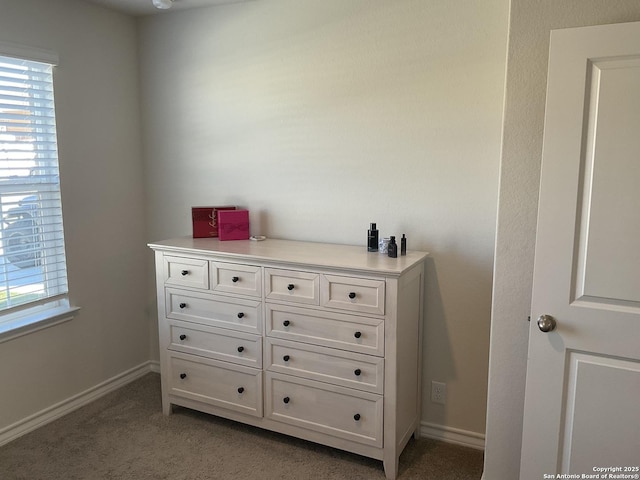 room details featuring carpet floors