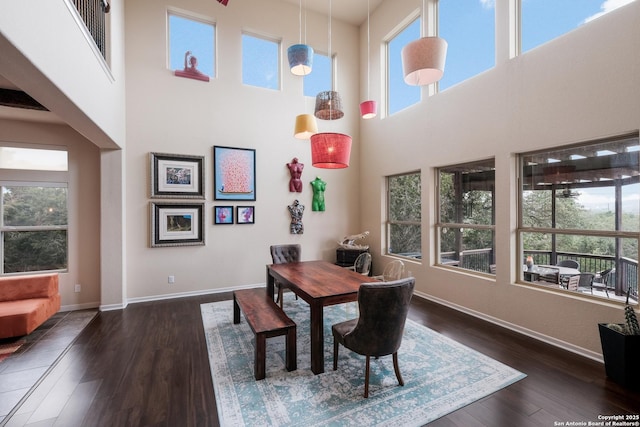 dining room featuring a high ceiling and dark wood-type flooring