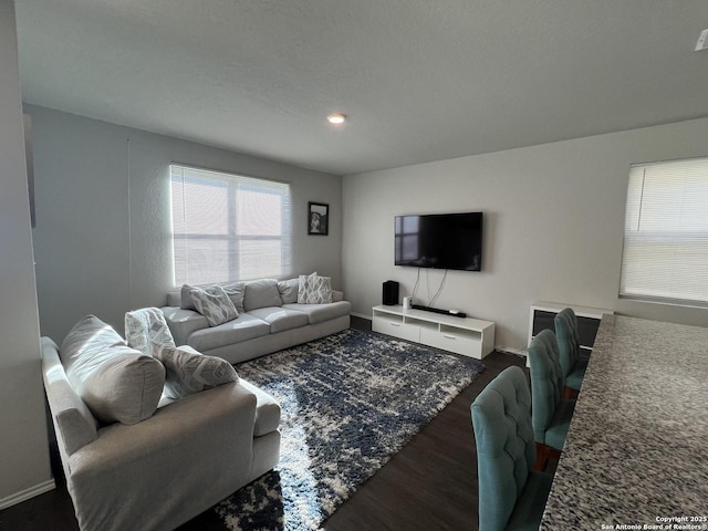 living room with dark hardwood / wood-style flooring