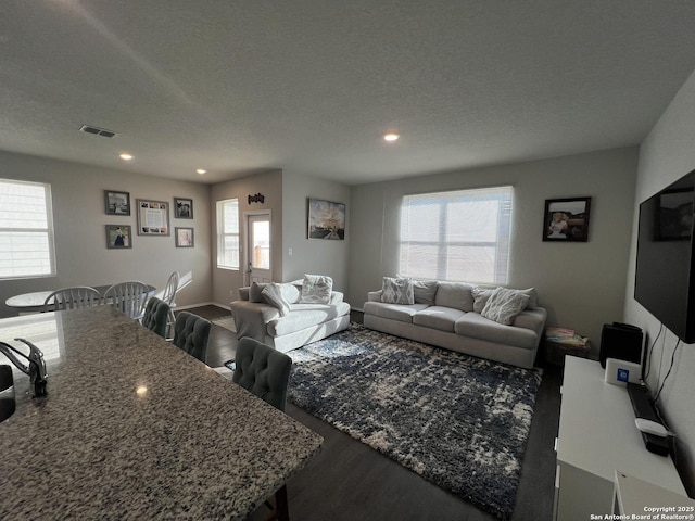 living room with a textured ceiling and hardwood / wood-style floors