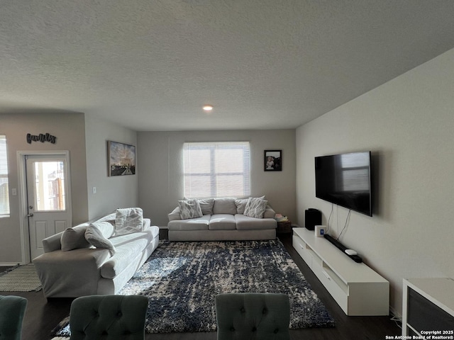 living room featuring a textured ceiling