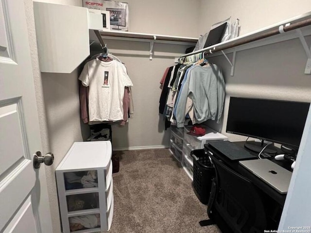 spacious closet featuring carpet floors