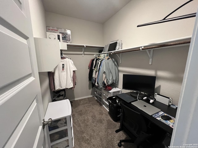 walk in closet featuring dark carpet