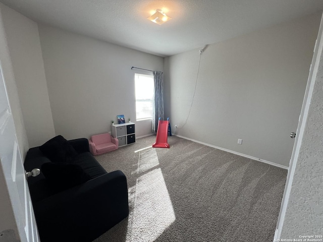 sitting room featuring carpet flooring