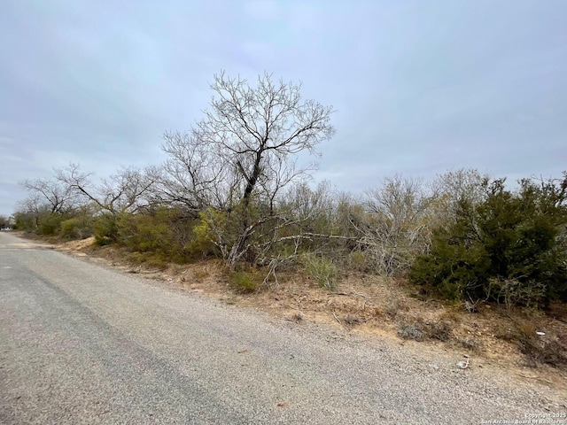 Listing photo 3 for LOT32 County Road 1643, Moore TX 78057