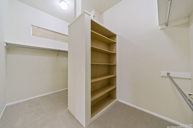 spacious closet featuring light carpet