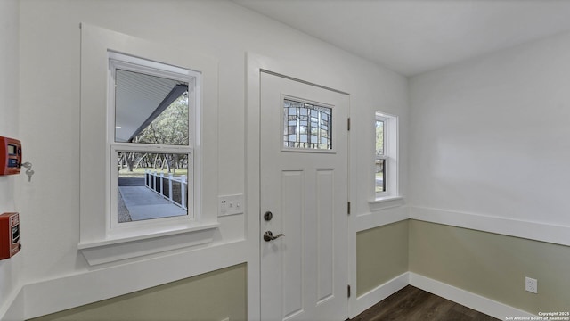 foyer featuring dark hardwood / wood-style floors and plenty of natural light