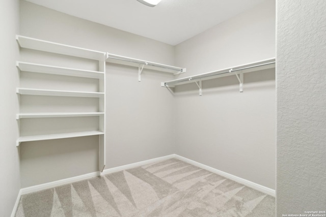 walk in closet with carpet floors