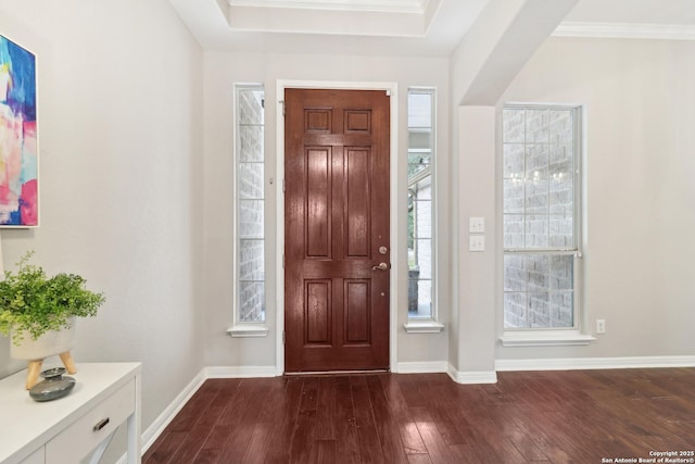 foyer entrance featuring crown molding and dark hardwood / wood-style flooring