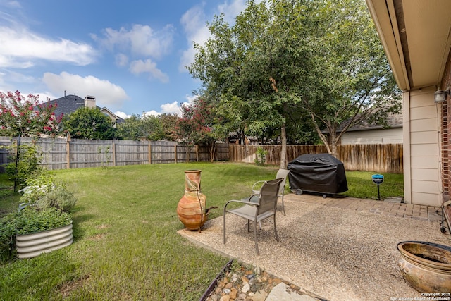 view of yard with a patio area