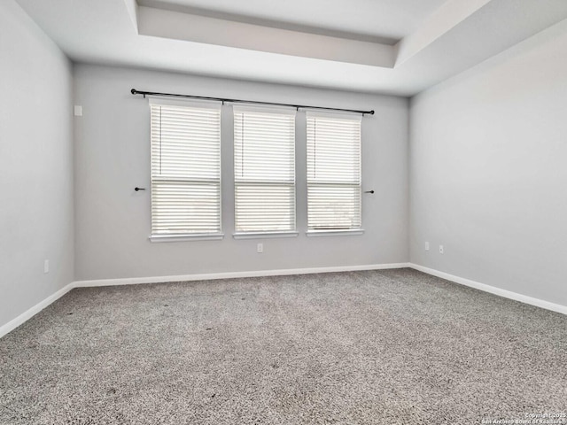 spare room featuring carpet flooring, a tray ceiling, and a healthy amount of sunlight