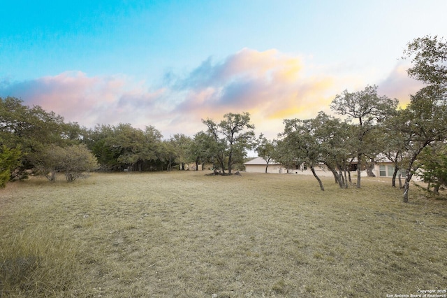 view of yard at dusk