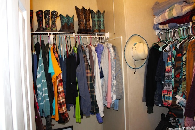 view of spacious closet