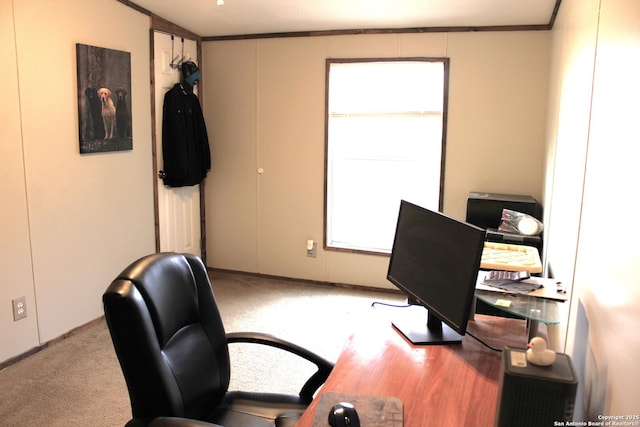 carpeted office with ornamental molding