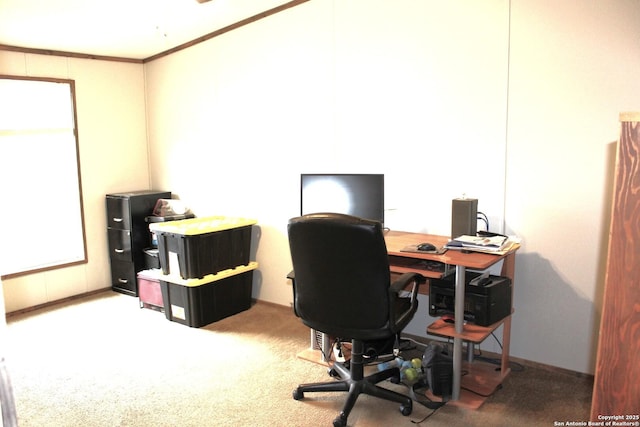 carpeted home office with crown molding