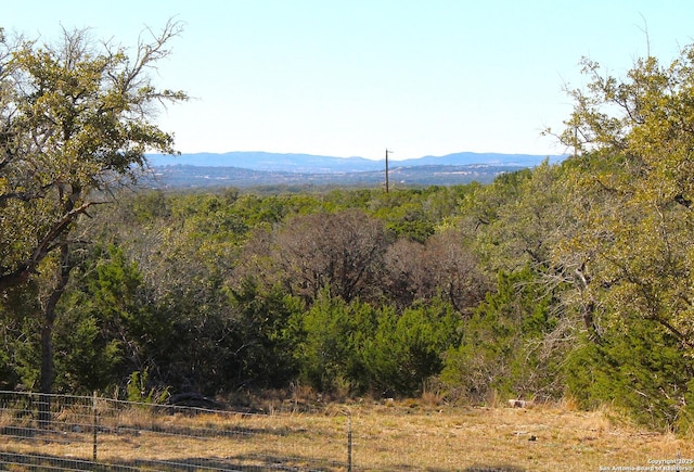 view of mountain feature