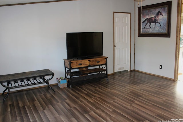 living room featuring dark hardwood / wood-style flooring