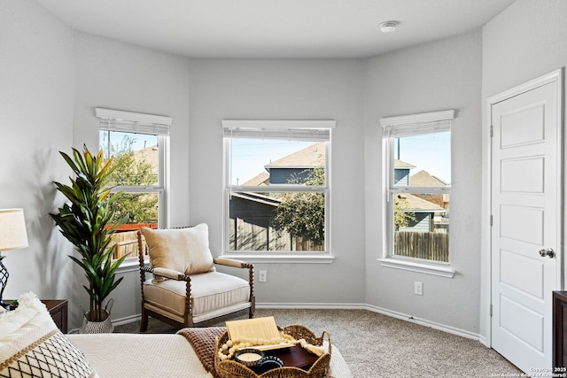 carpeted bedroom with multiple windows