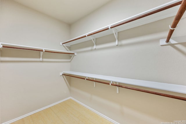 walk in closet with hardwood / wood-style floors