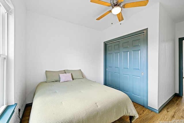 bedroom featuring ceiling fan, a closet, and wood-type flooring