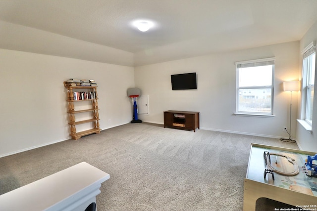 miscellaneous room featuring carpet flooring