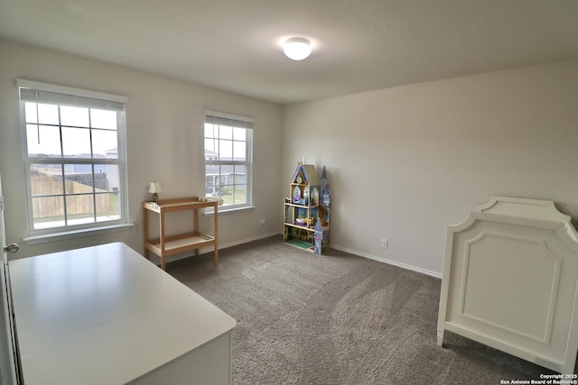 misc room featuring dark colored carpet