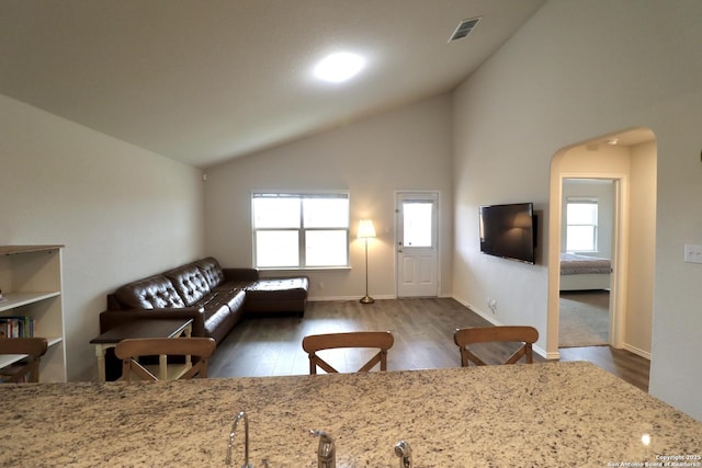 living room featuring high vaulted ceiling and dark wood-type flooring