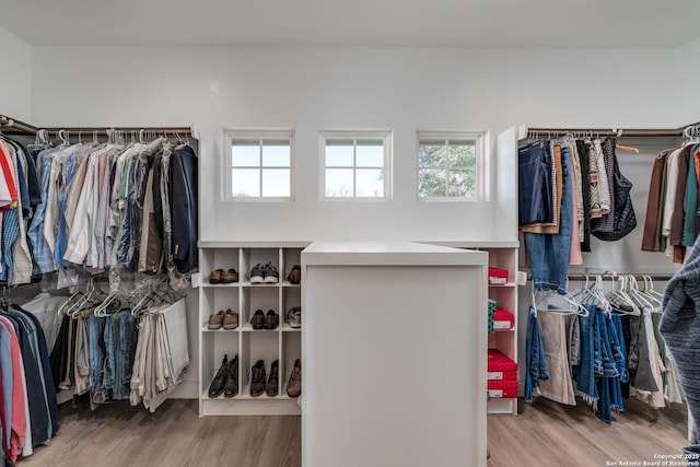 walk in closet featuring hardwood / wood-style floors