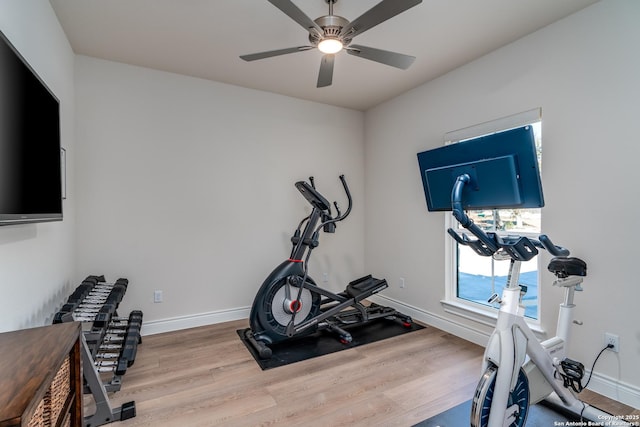 workout area with ceiling fan and light wood-type flooring