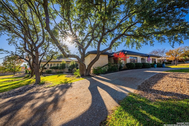 ranch-style home featuring a front lawn