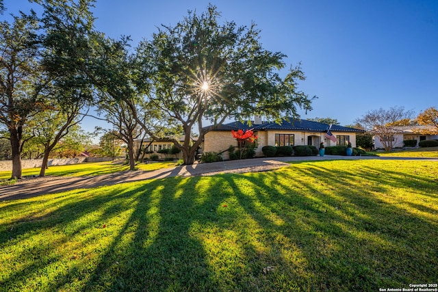 ranch-style home with a front yard