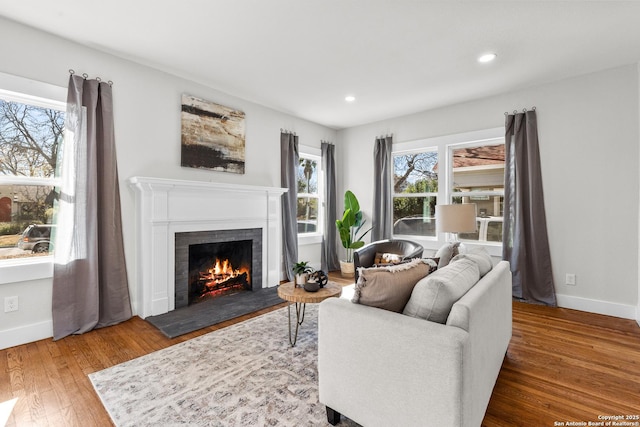 living room featuring hardwood / wood-style flooring