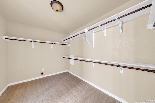 spacious closet featuring light colored carpet