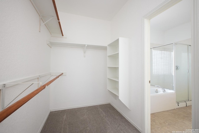 spacious closet with light colored carpet