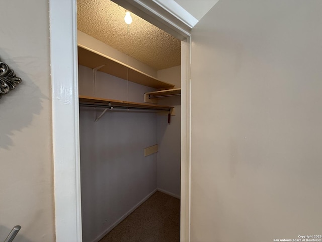 view of closet