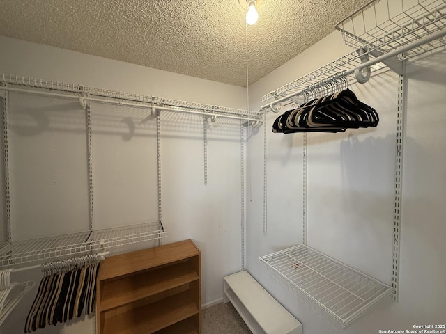 view of walk in closet