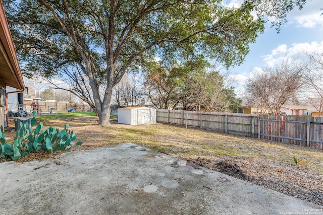 view of yard with a patio area and a storage unit