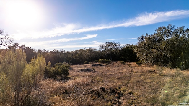 Listing photo 3 for 136 Restless Wind, Spring Branch TX 78070