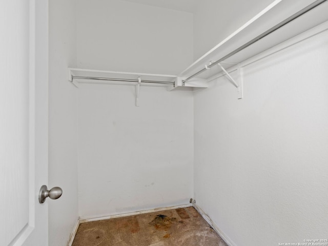 spacious closet featuring carpet flooring