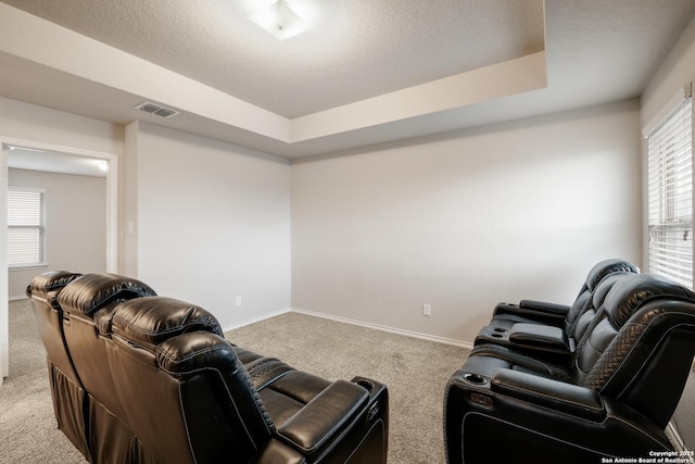 home theater room with light colored carpet, a tray ceiling, and a wealth of natural light