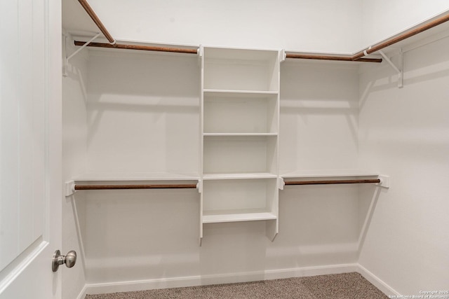 spacious closet with carpet floors