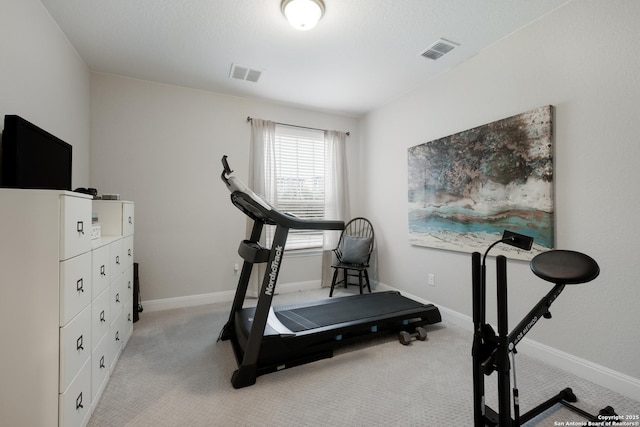 exercise area featuring light colored carpet