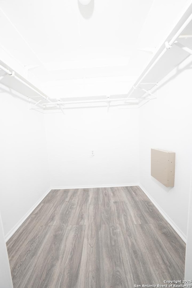 spacious closet featuring hardwood / wood-style flooring