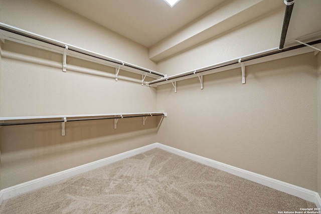 spacious closet with carpet