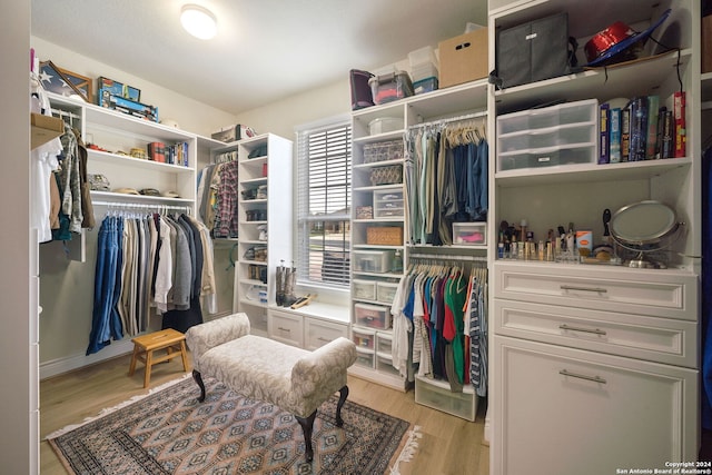 spacious closet with light hardwood / wood-style floors