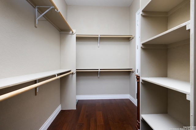 spacious closet with dark wood-type flooring